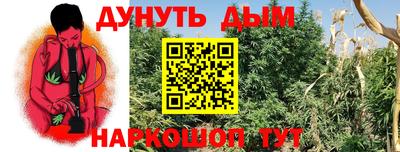 мяу мяу мука Кинель