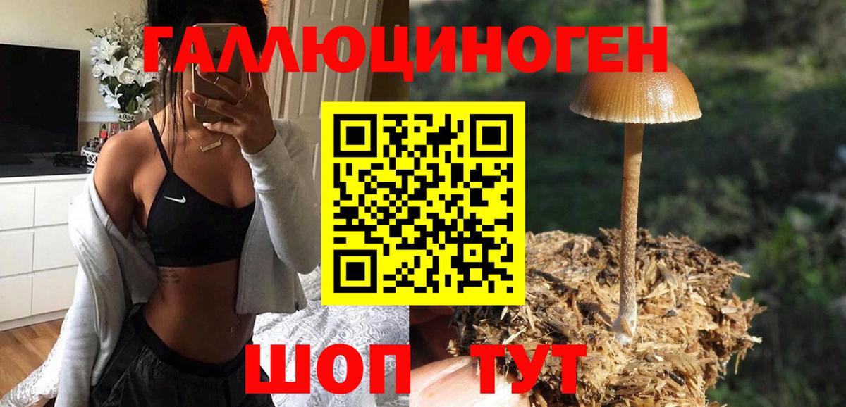 Галлюциногенные грибы прущие грибы  Галлюциногенные грибы MAGIC MUSHROOMS  наркотики  Вход с VPN  Унеча 