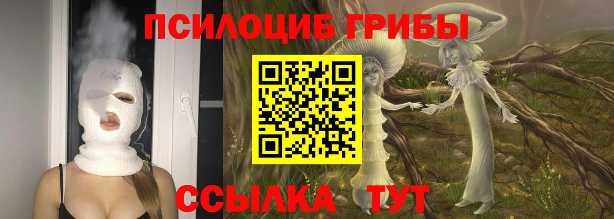 Псилоцибиновые грибы MAGIC MUSHROOMS Унеча